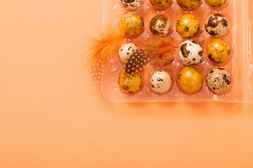 easter g quail eggs in plastic container  on pastel background
