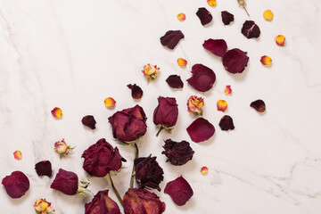 dried red  roses on marble background