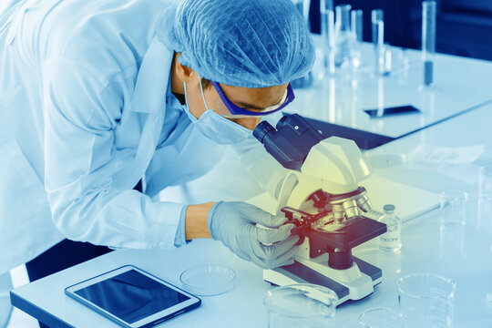 Scientists are using a microscope to test for viruses. or bacteria in the laboratory. Culture testing for the treatment of various diseases such as cancer, diabetes and COVID-19.