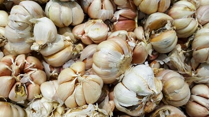 Pile of white garlic. Spicy cooking ingredient.