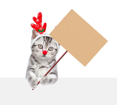 Cute kitten dressed like santa claus reindeer  Rudolf looking above empty white banner and whows empty placard on wooden stick. isolated on white background