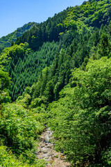 Obraz premium 南牧川の風景－群馬県南牧村