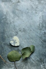 Suche liście eukaliptusa i woskowe serce z lawendą - miejsce na tekst. Flat lay na jasnym tle, widok z góry na zasuszone rośliny i jasne tło na tekst © ICON