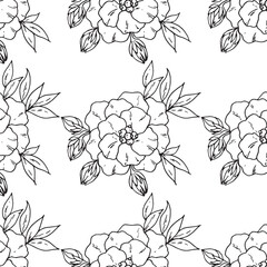 flower with leaves pattern on white background