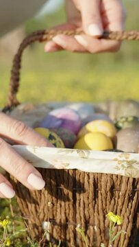 A painted Easter Egg lies in a clearing of Yellow Flowers. The girl it picks it up and puts it in the basket with the other eggs. close-up, slow motion. Vertical video Social Media