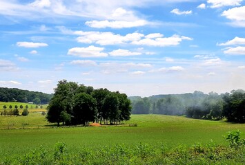 Rural landscape in summer with trees in a field with blue skies and puffy clouds in Chester County...