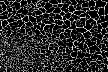 Fototapeta premium Cracked ground surface texture. Vector illustration. Monochrome background of coarse soil