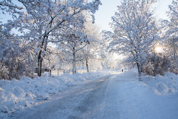 Winter scenery in public city park
