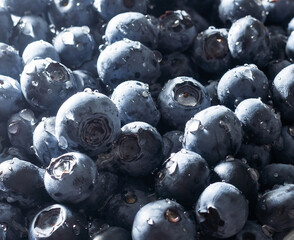 blueberry. Fresh Bilberries. Close-up background.