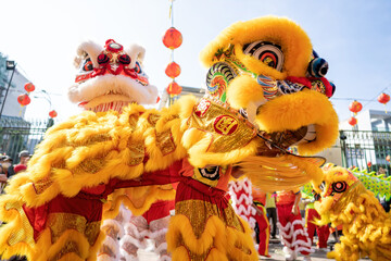 Dragon and lion dance show in chinese new year festival (Tet festival ), lion Dance - dragon and...