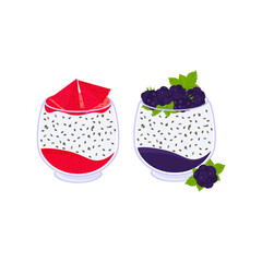 Chia pudding with watermelon and blackberry flavor. Vector set.