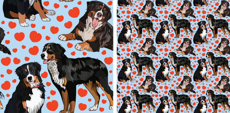 Pattern design with several Bernese Mountain dogs, funny doodles, and seamless pattern. Wallpaper, wrapping paper, background graphic design with hearts on blue background. Valentine Berner Sennenhund