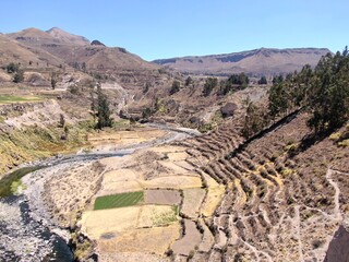 Peru from above: Colca Canyon close to colca lodge landscape with agriculture and high mountains