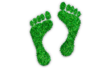 Dos huellas de pies hechas con hierba. 
