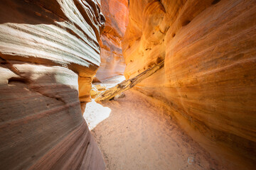 Walking Through a Passage in Peekaboo Slot Canyon Observing Sunlight illuminating Desert Textures and Swirls