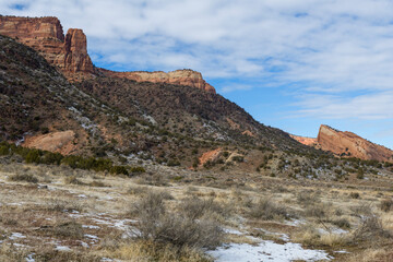 High desert vegetation and cliffs at the base of the Colorado National Monument