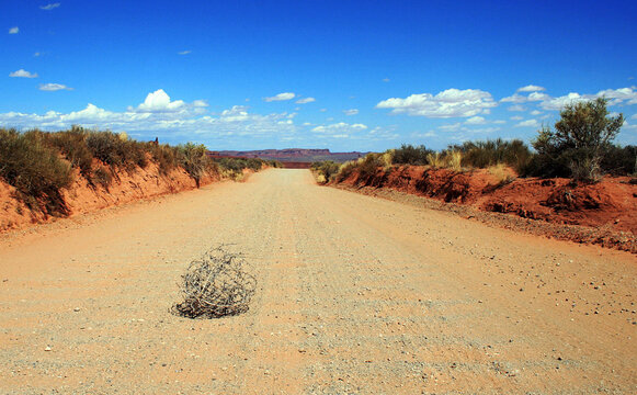 tumbleweed
