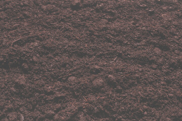 Black land for plant background.