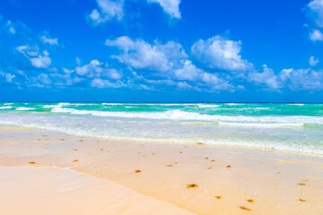 Tropical caribbean beach clear turquoise water Playa del Carmen Mexico.