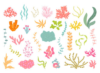 Underwater seaweed collection, corals and algae. Ocean plants, natural aquarium decor elements. Cartoon sea leaves, isolated nowaday vector set