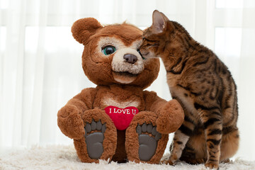 A plush toy teddy bear and a thoroughbred Bengal cat are sitting on a rug against the background of a window. Valentine's day concept