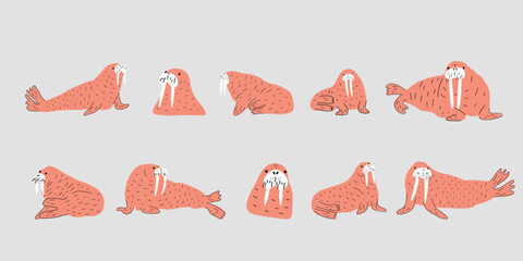 Cute walrus in Scandinavian style on a white background. Vector hand drawn kids illustration. Sea ocean. Underwater world © Anna Eshka