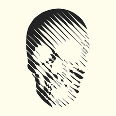 Vector line- art skull made by vertical lines. Human skull front view.