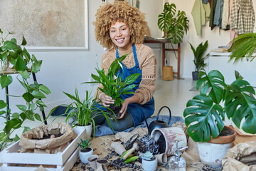 Indoor shot of cheerful female florist transplants flowers with fertilized soils uses ceramic pots...