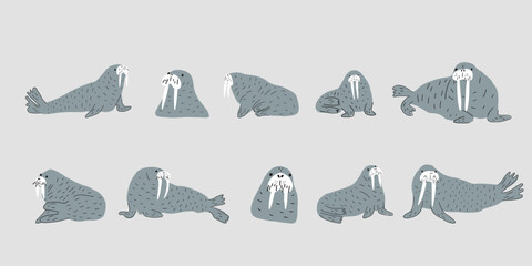 Cute walrus in Scandinavian style on a white background. Vector hand drawn kids illustration. Sea ocean. Underwater world © Anna Eshka