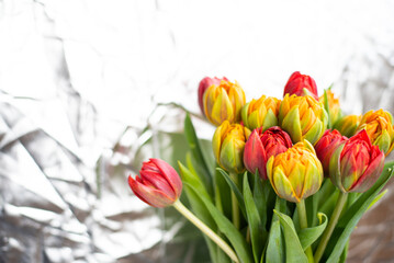 Terry tulips in yellow and orange on a silver texture background
