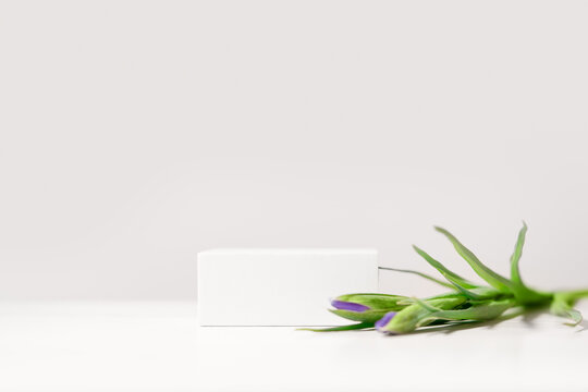 Minimal scene for beauty cosmetic product presentation made with white cubes and iris flowers on white background.