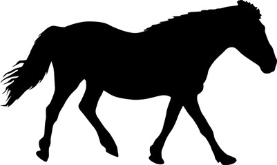 silhouette of black mustang horse vector illustration