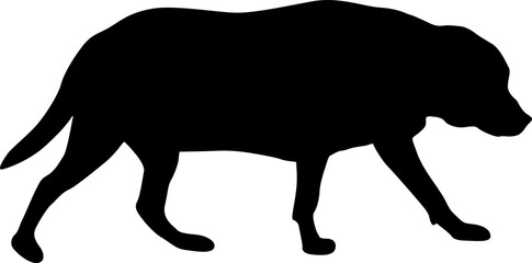 Labrador dog black silhouette on white background.