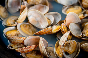 Fresh vongole. Macro background. Texture vongole.