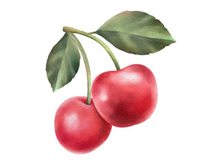 Red cherry element. Hand drawn watercolor illustration