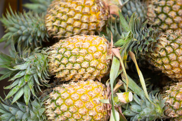 Pineapples close-up as a background. Harvest of pineapples lie in a pile. Fresh tropical fruits.