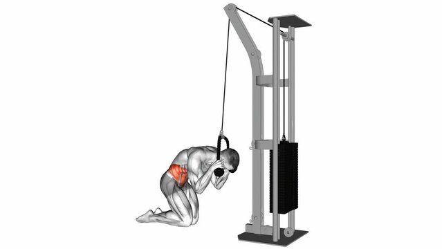 cable kneeling crunch