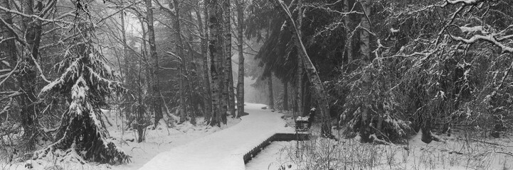 Winterlandschaft Rhön- Impressionen aus dem Schwarzen Moor 32