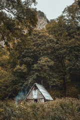 camping in the forest