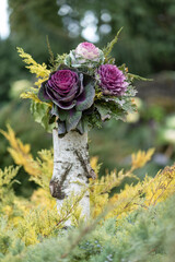 Ornamental Kale flower with shallow depth of field arranged in a bouquet on top of dead tree trunk 