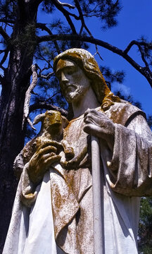 The Good Shepherd