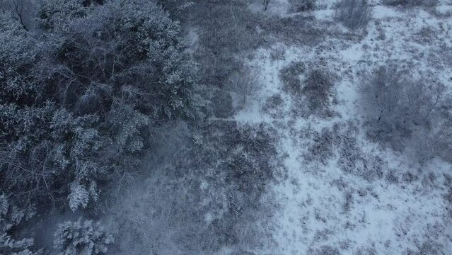 Drone view of a country park park during a snowstorm, with walking trail and tree's