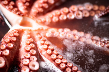 The tentacles of the octopus are boiled in water.