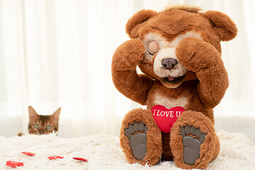 A plush toy teddy bear and a thoroughbred Bengal cat are sitting on a rug against the background of...