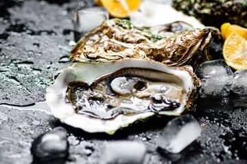Oysters with lemon and ice cubes. 