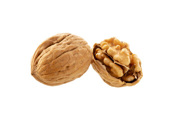 Walnut   on white.