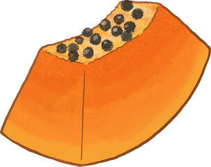Fototapeta premium piece of papaya with seeds illustration