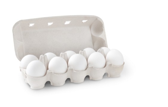 Cardboard container with ten eggs on white background with shadow