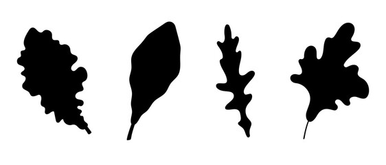 Leaf lettuce silhouettes. Black image set. Icon ingredients. Salad. Plants leaves.