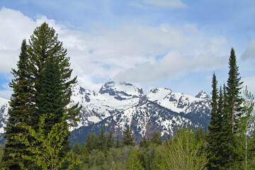 Fototapeta premium Grand Teton National Park